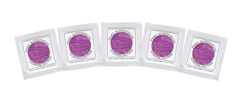 Pure Acidophilus Yogurt Starter - Pack of 5 Freeze-Dried Culture Sachets for Authentic Plain Yogurt (5 sachets) 5 Count (Pack of 5)