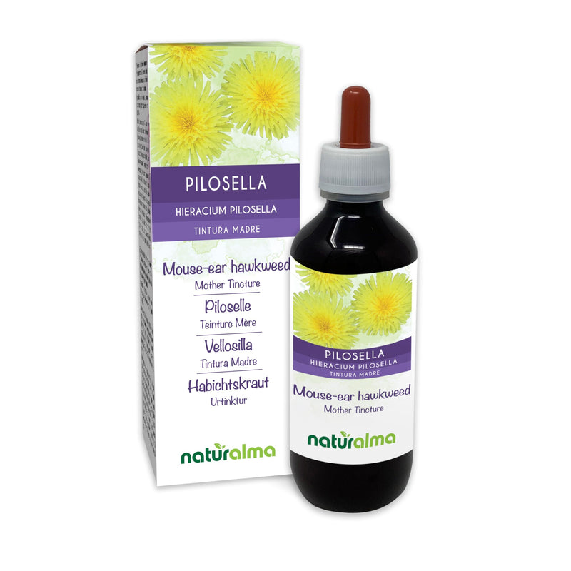 Mouse-Ear Hawkweed (Hieracium pilosella) herb Alcohol-Free Mother Tincture Naturalma - Liquid Extract Drops 200 ml - Food Supplement - Vegan 200 ml (Pack of 1)