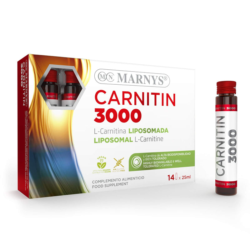 L-Carnitine liposomade, Carnitin 3000, 14 bottles, energy metabolism aid at muscle level