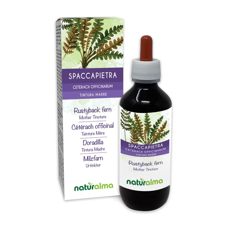 Rustyback Fern (Ceterach officinarum or Asplenium Ceterach) Leaves Alcohol-Free Mother Tincture Naturalma - Liquid Extract Drops 200 ml - Food Supplement - Vegan 200 ml (Pack of 1)