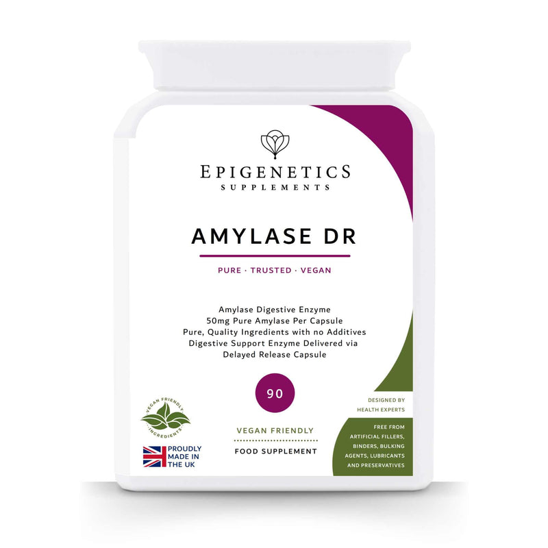 Amylase Delayed Release (DR) 50mg of Digestive Support Enzymes | 90 Vegan Friendly Capsules UK Made | Long 3 Month Supply by Epigenetics Supplements 90 count (Pack of 1)