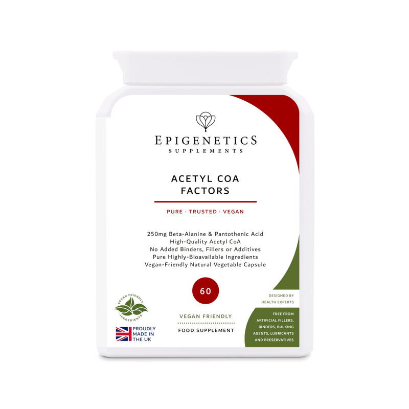 Acetyl CoA Factors | Beta-Alanine Amino Acid 250mg + Vitamin B5 Pantothenic Acid 250mg | 60 Vegan Capsules UK Made | 1 Capsule Daily (2 Month Supply)