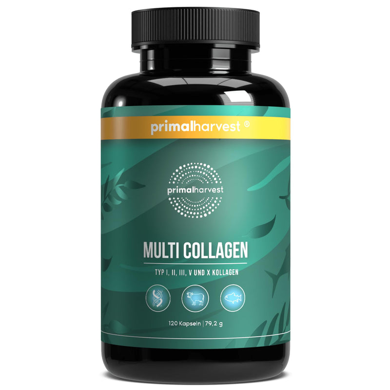 Primal Harvest Multi Collagen Supplement Types I, II, III, V & X Collagen Pills for Men & Women Dairy, Soy & Gluten Free 1 Pack 120 Capsules 120 count (Pack of 1)