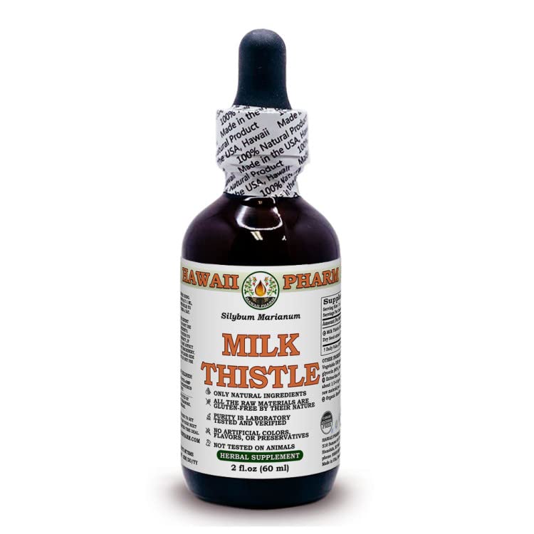 Milk Thistle (Silybum Marianum) Powdered Seed Alcohol-Free Liquid Extract Glycerite 60 ml 60 ml (Pack of 1)