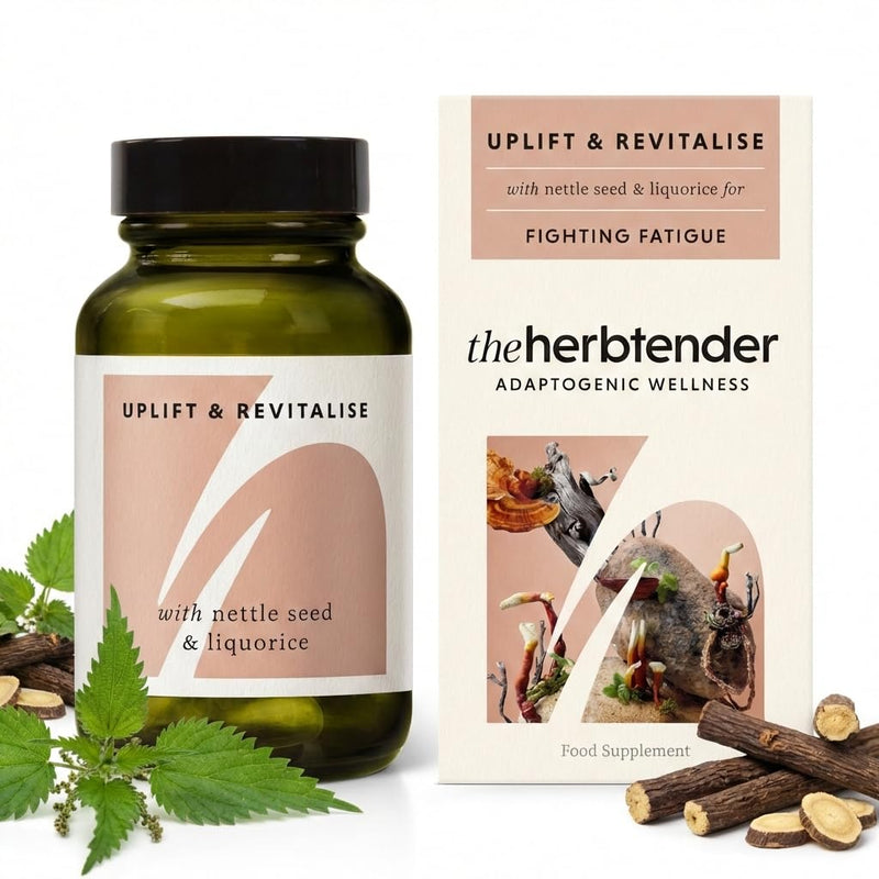 Nettle Seed & Reishi Supplement – Uplift & Revitalise 60 Capsule Jar - Rhodiola Rosea Capsules - Reishi Mushroom Capsules - Nettle Extract Supplement - Natural Energy & Fatigue Support for Adults