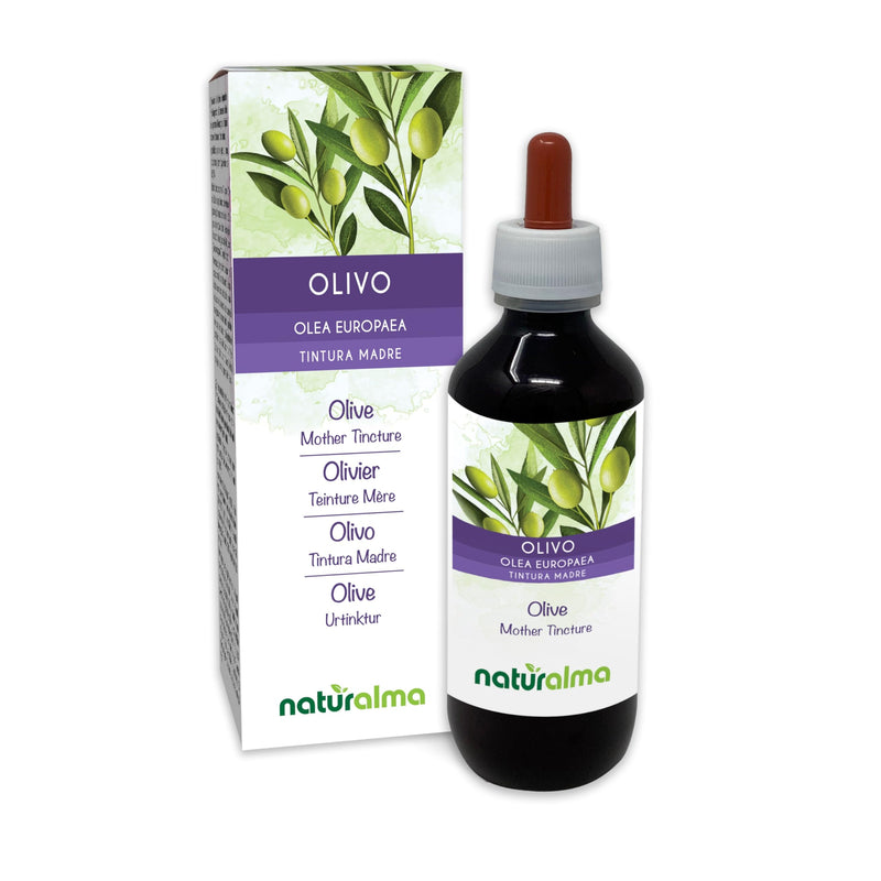 Olive (Olea europaea) Leaves Alcohol-Free Mother Tincture Naturalma - Liquid Extract Drops 200 ml - Food Supplement - Vegan 200 ml (Pack of 1)