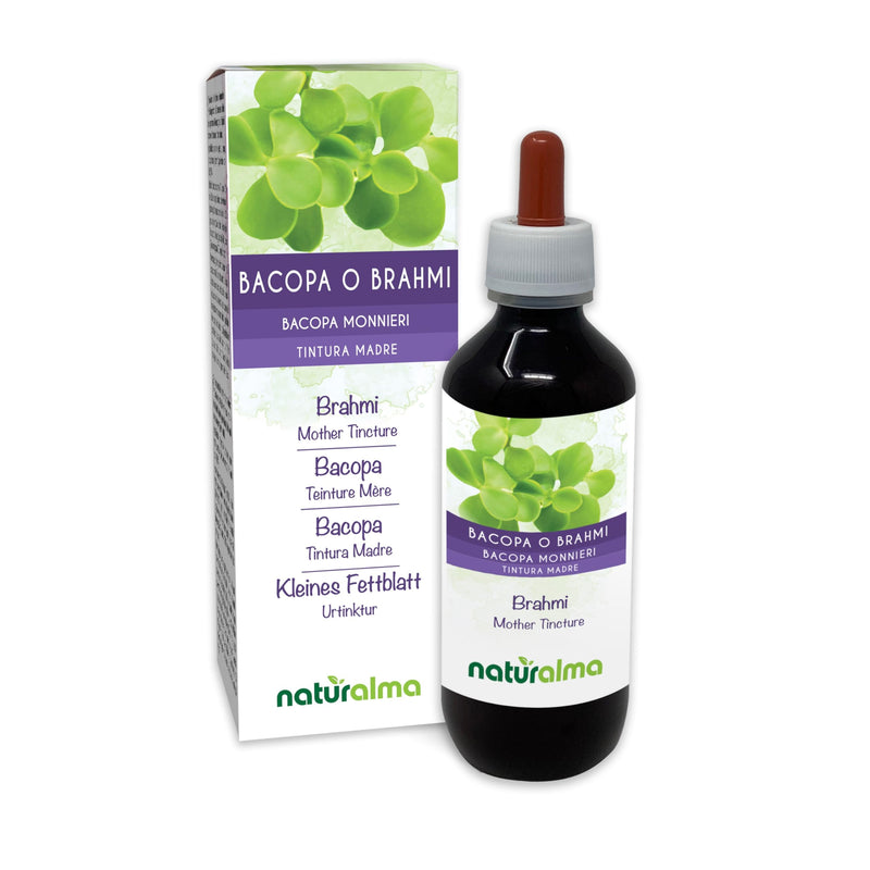 Bacopa or Brahmi (Bacopa monnieri) herb Alcohol-Free Mother Tincture Naturalma - Liquid Extract Drops 200 ml - Food Supplement - Vegan 200 ml (Pack of 1)