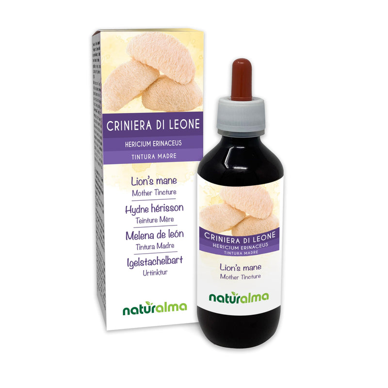 Lion's Mane or Monkey Head (Hericium erinaceus) Fungus or Mushroom Alcohol-Free Mother Tincture Naturalma - Liquid Extract Drops 200 ml - Food Supplement - Vegan 200 ml (Pack of 1)