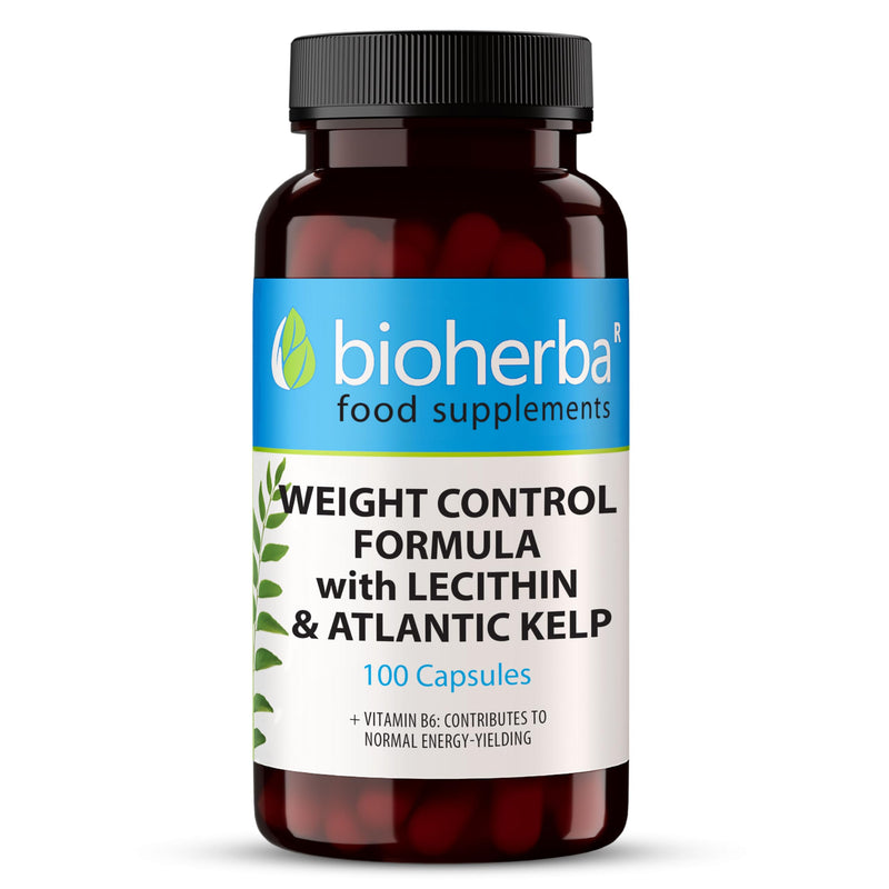 Lecithin 4-in-1 Complex – 100 Capsules | with Alfalfa, Apple Cider Vinegar, Kelp & Vitamin B6 – by BIOHERBA