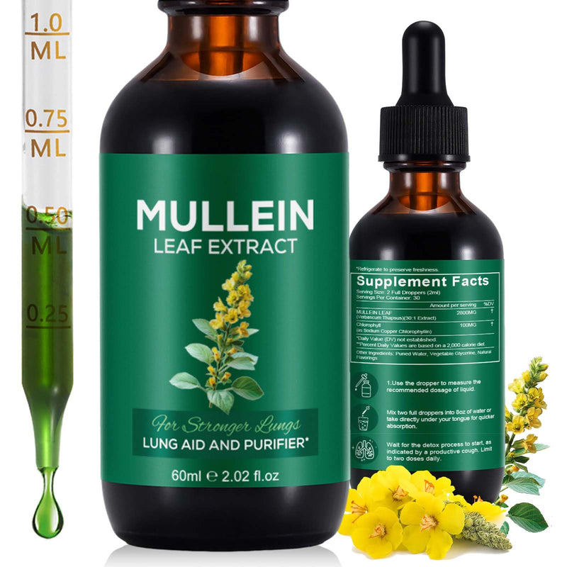 Mullein Drops for Lungs, Mullein Leaf Extract Supplement, Natural Mullein Herbal Supplements, Mullein Leaf Extract for Lung Cleanse and Respiratory Support - 2.02 fl oz 60 ml (Pack of 1)
