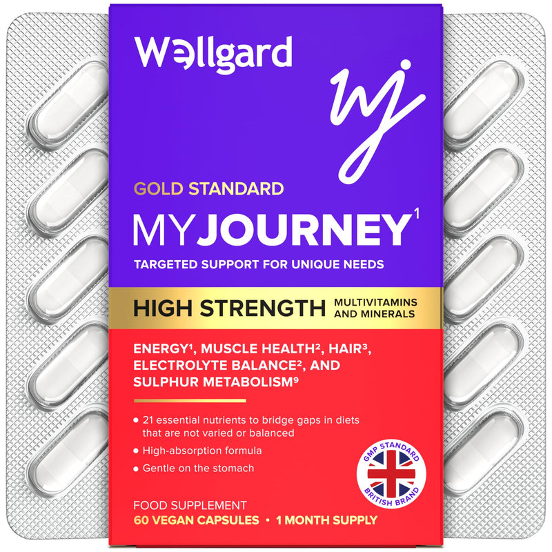 Wellgard My Journey – MJ Multivitamin for Energy, Muscles, Hair, Electrolyte Balance and Sulphur Metabolism, 60 Capsules 1 count (Pack of 60)