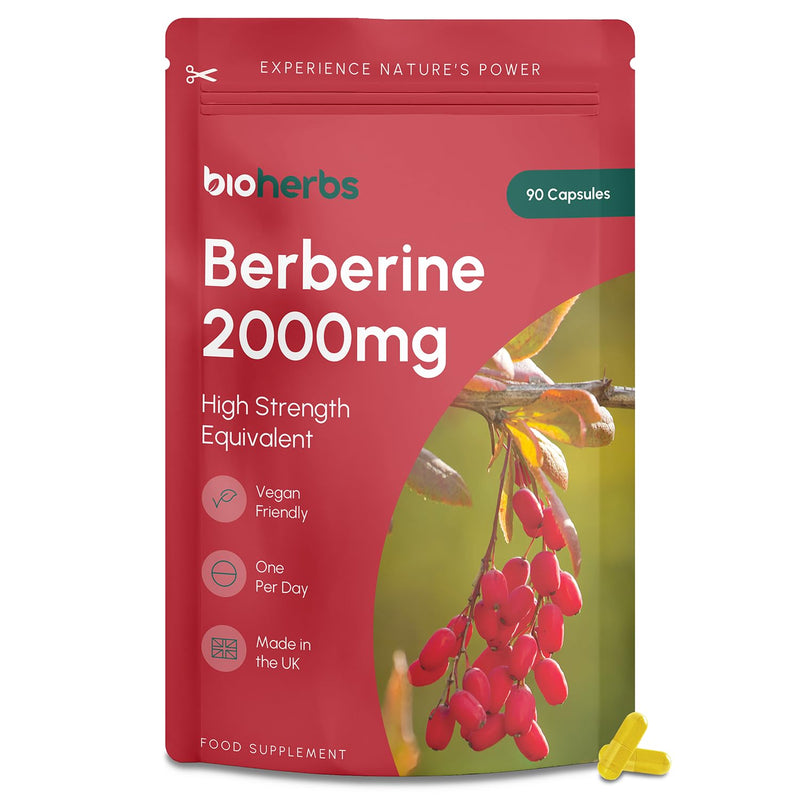 Berberine HCL Supplement High Strength - 2000mg 99% HCL by BioHerbs | 90 One-Per-Day Capsules (3-Month Supply) 90 count (Pack of 1)