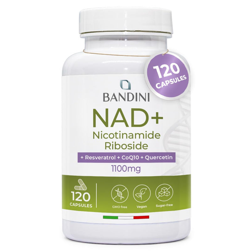Bandini® Liposomal NAD+ 120 Vegan Capsules | NAD Supplement Nicotinamide Riboside Chloride + Quercetin, Resveratrol, Coenzyme Q10 | Cellular Energy & Healthy Aging Support, 1100mg per dose | Non-GMO