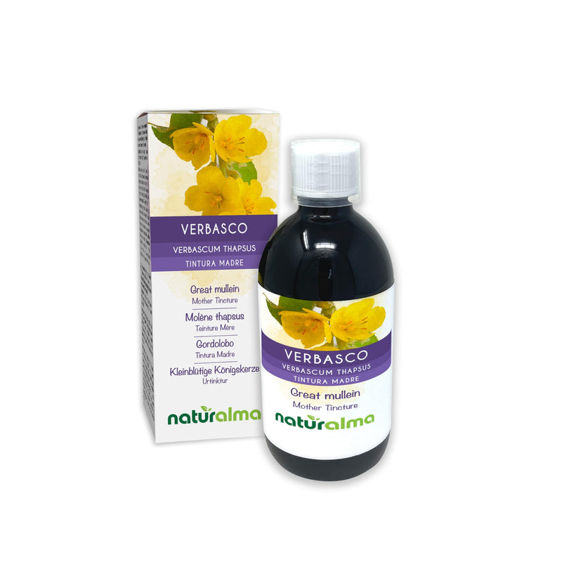 Great Mullein or Common Mullein (Verbascum thapsus) Flowers and Leaves Alcohol-Free Mother Tincture Naturalma - Liquid Extract Drops 500 ml - Food Supplement - Vegan 500 ml (Pack of 1)