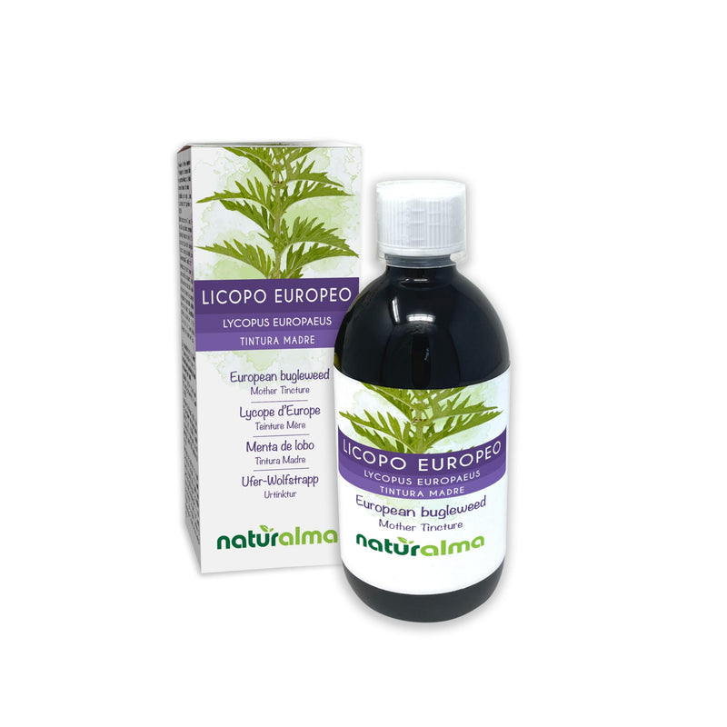 European Bugleweed or Gypsywort (Lycopus europaeus) herb Alcohol-Free Mother Tincture Naturalma - Liquid Extract Drops 500 ml - Food Supplement - Vegan 500 ml (Pack of 1)