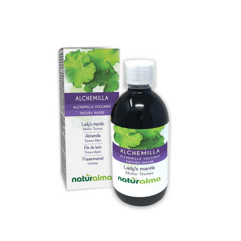 Lady's Mantle (Alchemilla vulgaris) herb Alcohol-Free Mother Tincture Naturalma - Liquid Extract Drops 500 ml - Food Supplement - Vegan 500 ml (Pack of 1)