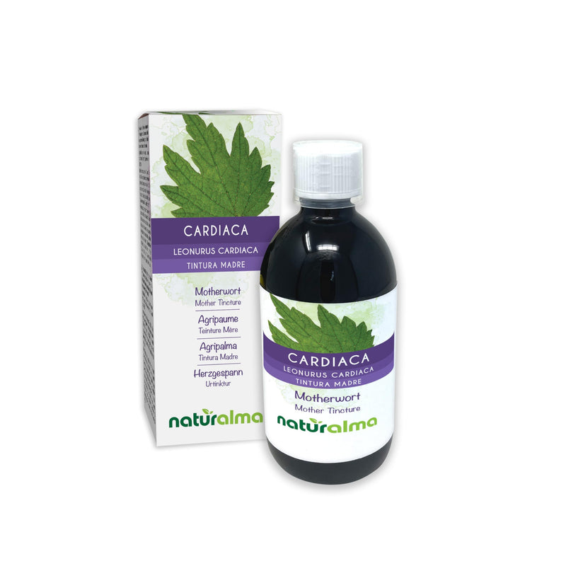 Motherwort (Leonurus cardiaca) herb with Flowers Alcohol-Free Mother Tincture Naturalma - Liquid Extract Drops 500 ml - Food Supplement - Vegan 500 ml (Pack of 1)