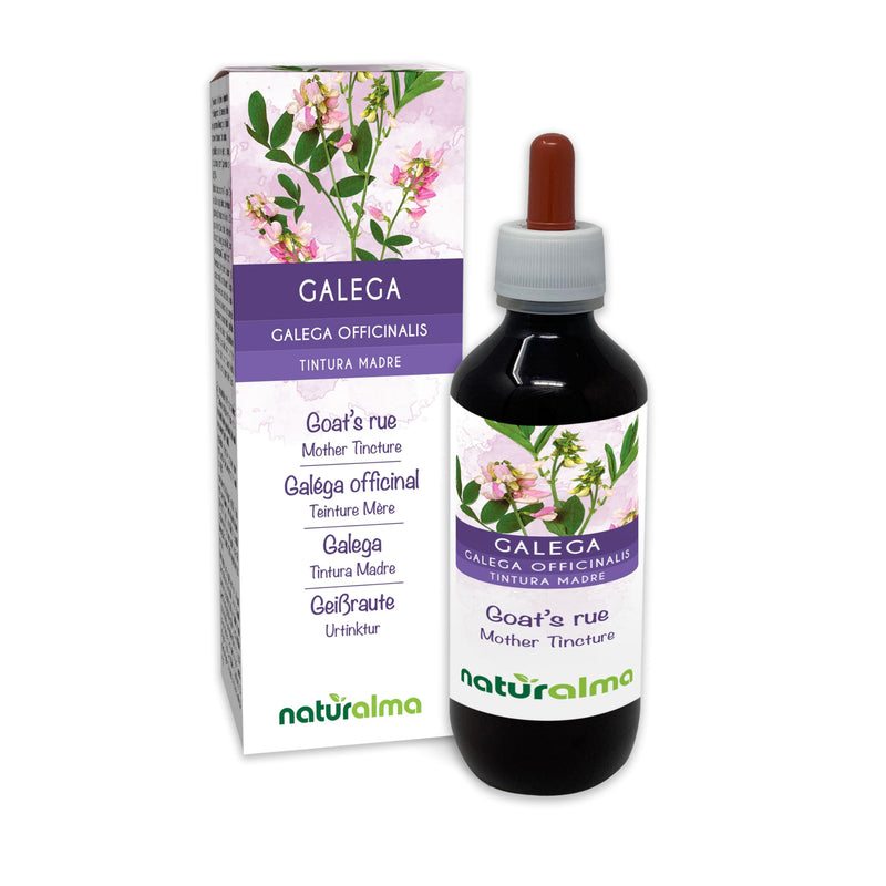 Goat's rue (Galega officinalis) herb with Flowers Alcohol-Free Mother Tincture Naturalma - Liquid Extract Drops 200 ml - Food Supplement - Vegan 200 ml (Pack of 1)