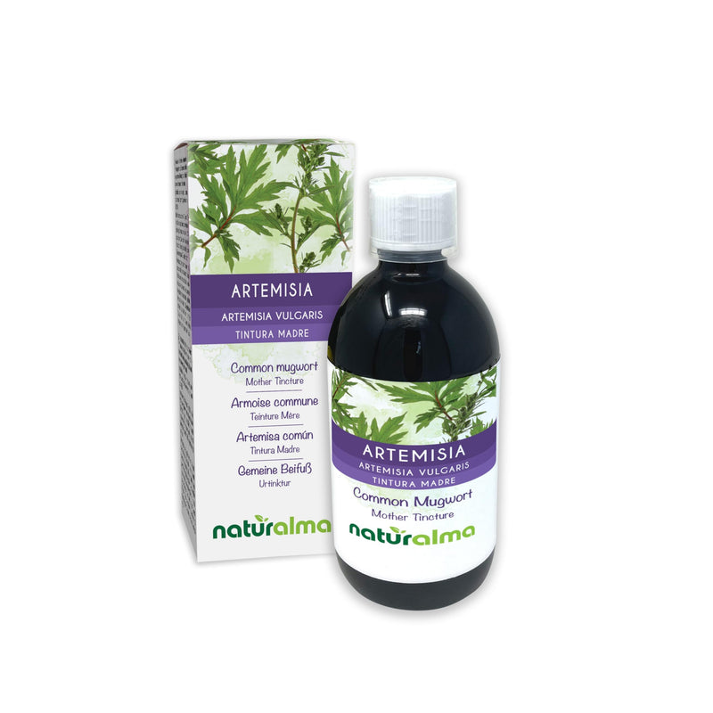 Common Mugwort (Artemisia vulgaris) herb with Flowers Alcohol-Free Mother Tincture Naturalma - Liquid Extract Drops 500 ml - Food Supplement - Vegan 500 ml (Pack of 1)
