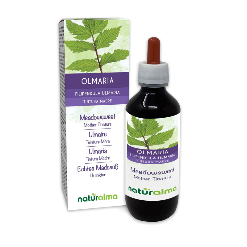 Meadowsweet (Filipendula ulmaria or Spirea ulmaria) Flowers Alcohol-Free Mother Tincture Naturalma - Liquid Extract Drops 200 ml - Food Supplement - Vegan 200 ml (Pack of 1)