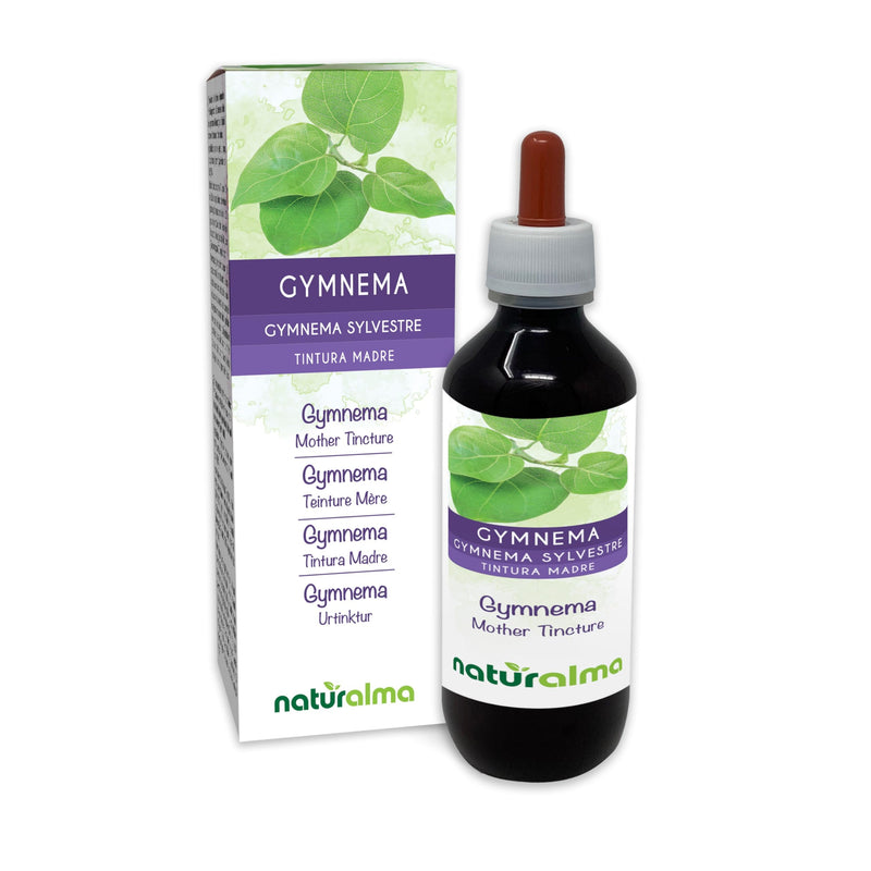 Gymnema (Gymnema sylvestre or Marsdenia sylvestris) Leaves Alcohol-Free Mother Tincture Naturalma - Liquid Extract Drops 200 ml - Food Supplement - Vegan 200 ml (Pack of 1)