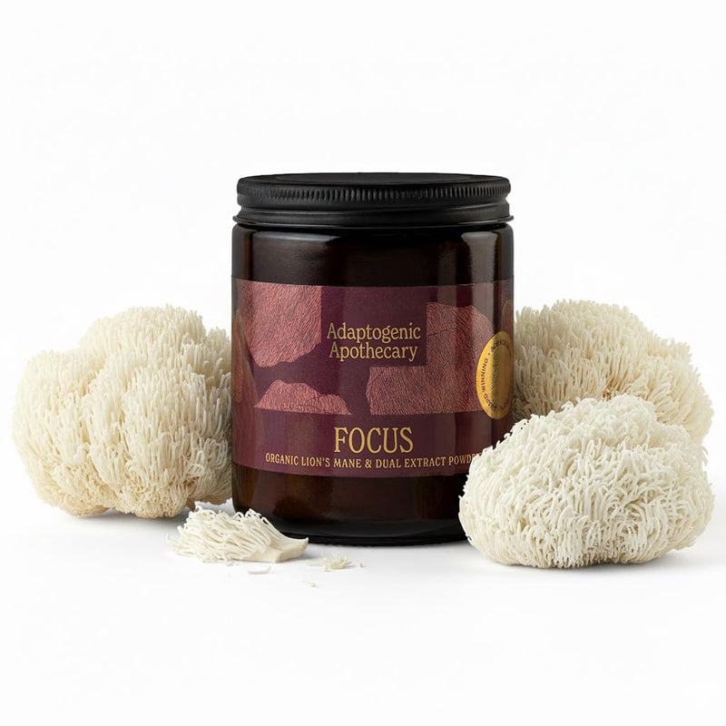 Focus – Premium Lion's Mane Powder, Whole-Mushroom Fruiting Body & Dual Extract | 2,000mg per 2g Serving | 60g Glass Jar | UK-Made, Vegan, Gluten Free