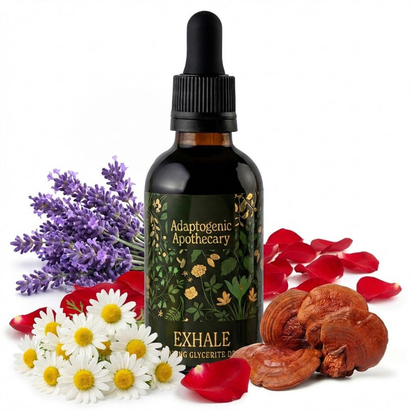 Exhale – Premium Calming Drops | Botanical Glycerite with Chamomile, Rose Petals, Lavender & Reishi Dual Extract | Alcohol-Free | 50ml, 25 Servings | UK-Made, Vegan