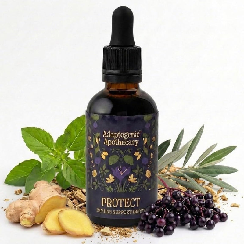 Protect – Seasonal Botanical Glycerite Drops with Elderberry, Holy Basil, Maitake, Olive Leaf & Ginger | Alcohol-Free | 50ml, 25 Servings | UK-Made, Vegan