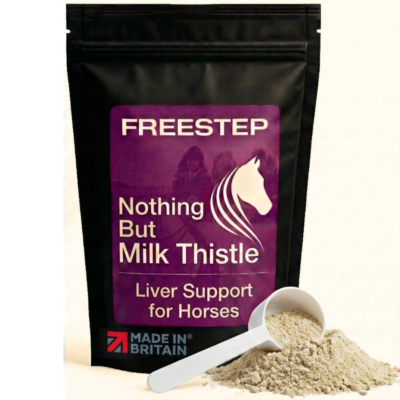 Pure Milk Thistle for Horses | Pure Ground Milk Thistle Powder for Liver Support, Detox and Recovery | Natural Horse Supplement for Performance and Metabolism 500g | 4 Month Supply