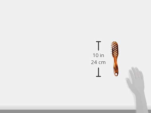 [Australia] - Walkiria WK, Hair Brush (Carey Innovative Design) ‚Äì 6 x 100 g (Total: 600g) 