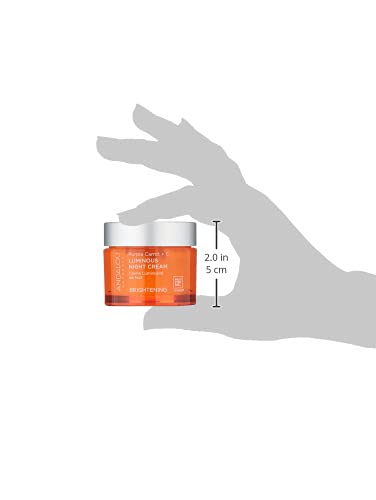 [Australia] - Andalou Natural Purple Carrot + C Luminous Night Cream, Purple Carrot Plus C Luminous, 1.7 Ounce 1.7 Ounce (Pack of 1) 