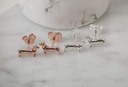 [Australia] - Gemma J Dachshund Studs 