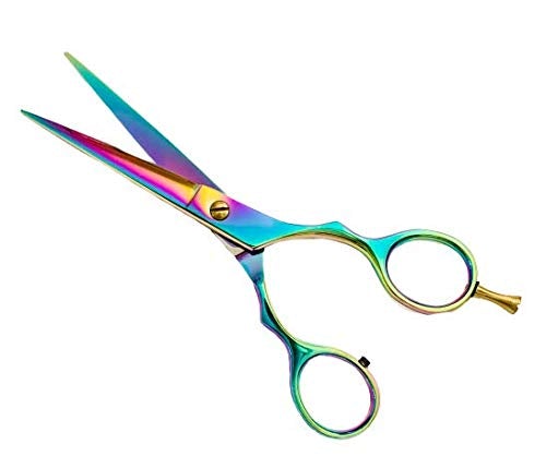 [Australia] - Awans Professional Hairdressing Scissors, with High Quality Stainless Steel Scissors 6 inches 