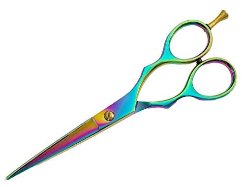 [Australia] - Awans Professional Hairdressing Scissors, with High Quality Stainless Steel Scissors 6 inches 