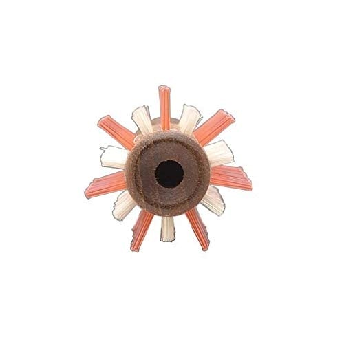 [Australia] - Y.S. Park, Hair Brush 34 x 215 mm - Pack of 1 