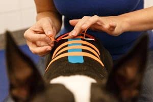 [Australia] - VETKIN VetkinTape® 2.4'' Veterinary Kinesiology Tape | Kinesiology Tape for Horses & Dogs | Equine & Canine Tape Pink 