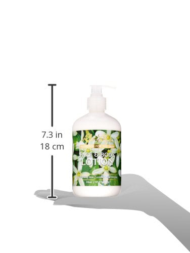[Australia] - Aloe Life - Face and Body Lotion, Lubricates, Protects and Moistens the Skin, Formulated for All Skin Types, Great for Sensitive and Damaged Skin (16 Ounces) 16 Fl Oz (Pack of 1) 