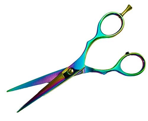 [Australia] - Awans Professional Hairdressing Scissors, with High Quality Stainless Steel Scissors 6 inches 