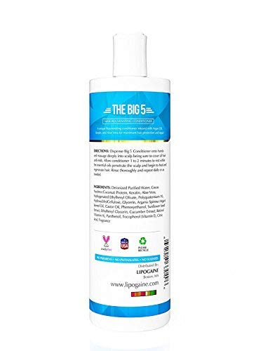[Australia] - Lipogaine The Big 5 Hair Loss Prevention Conditioner With Argan Oil, Keratin, Aloe Vera 