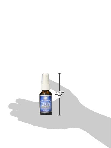 [Australia] - Natural Path Silver Wings Colloidal Silver Herbal Tincture Spray, 1 Fluid Ounce 