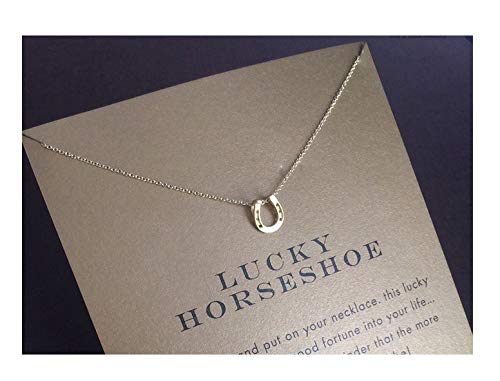 [Australia] - Baydurcan Friendship Anchor Compass Necklace Good Luck Elephant Pendant Chain Necklace with Message Card Gift Card Silver Horseshoe 