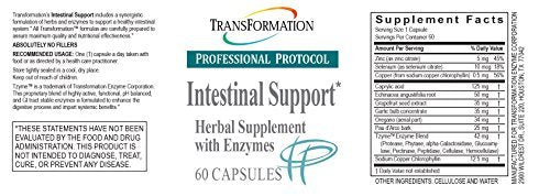 [Australia] - Professional Protocol Intestinal Support - 60 Capsules, BPA Free Advanced Intestinal, Digestive Supplement Support by Transformation Enzymes 