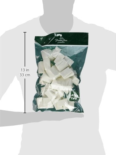 [Australia] - FantaSea Latex Free Foam Wedges, 100-count Bag (2 Pack) 