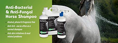 [Australia] - Aqueos Horse Shampoo | Anti-Bacterial / Anti-Fungal / Anti-Viral / Anti-Itch | 1 Litre Soothes, Relieves Itching, Skin Conditions Gentle on Skin 1 l (Pack of 1) 