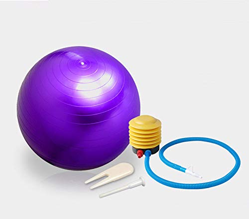 [Australia] - Fortitude Sports Swiss Ball 55cm | Exercise Ball With Pump For Yoga, Fitness, Pilates, Balance, Gym | Anti Burst, Anti Slip Blue 