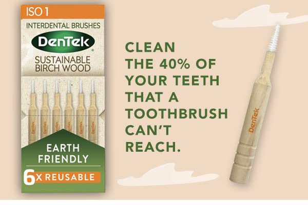 [Australia] - DenTek Earth Friendly Birch Wood - 6 Count x 6 Packs (36 Brushes) Interdental Brushes ISO1/0.45mm - Green 0.45mm 6 Pack 
