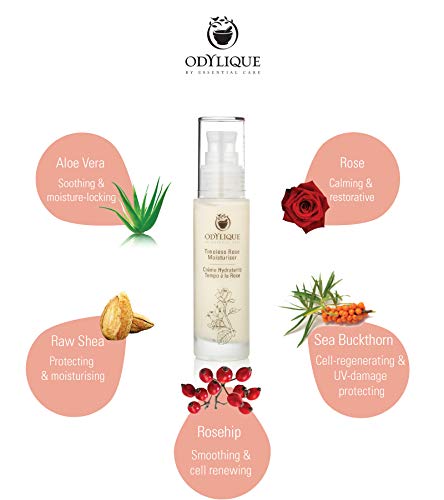 [Australia] - Odylique - Organic Face Moisturiser – Timeless Rose Moisturiser - With Rose Water + Rosehip – Natural Moisturiser For Women (50ml) 50 ml (Pack of 1) 