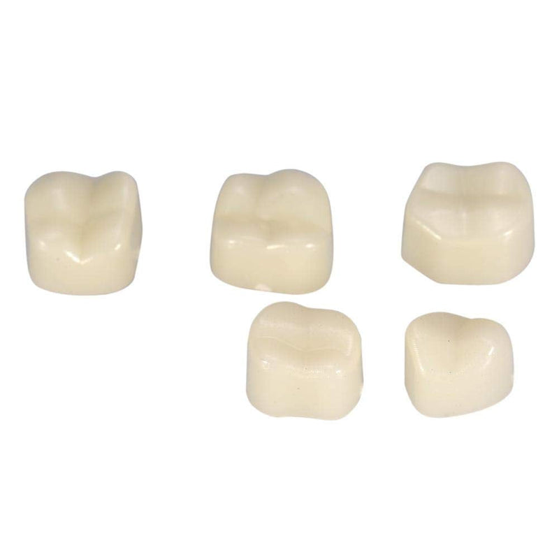 [Australia] - 50Pcs Teeth Crown, 2Types Temporary Resistable Crown of Teeth with Different Sizes Oral Care Anterior Crown(Posterior Teeth) Posterior Teeth 