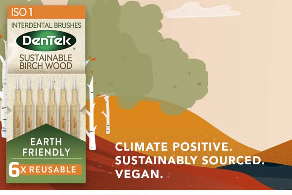 [Australia] - DenTek Earth Friendly Birch Wood - 6 Count x 6 Packs (36 Brushes) Interdental Brushes ISO1/0.45mm - Green 0.45mm 6 Pack 