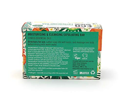 [Australia] - Eco Warrior Exfoliating Soap Bar - Whole Body Soap - Cleansing, Moisturising and Exfoliating Citrus Essential Oils and Oatmeal - Natural, Eco Friendly, Vegan and Cruelty Free Bar of Soap - 100g 